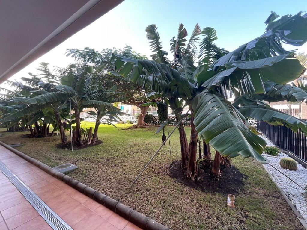 Seaview Apartment Los Cactus Playa del Ingles  Exterior photo